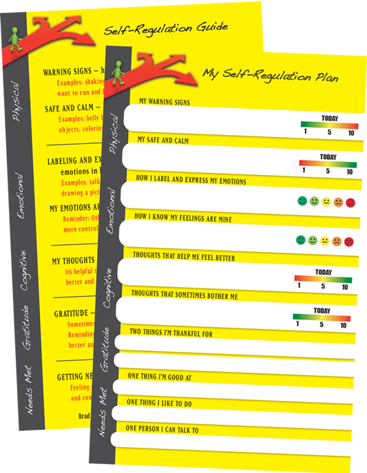 Self-Regulation Plan Cards - Pack of 25